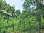 Residential Land for Sale Kegalle