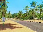 Residential and Commercial land plots for sale in Divulapitiya