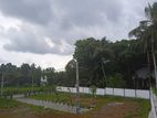 Residential and Commercial Plots Athurugiriya (s20)