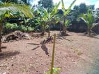 Residential Bare Land for Sale - Kadawatha