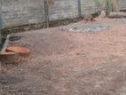 Residential Bare Land in Kotte