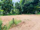 Residential Block of Lands for Sale Amunugoda, Gampaha