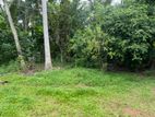 Residential / Commercial Land for Sale in Piliyandala