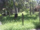 Commercial Land for Sale Marawila