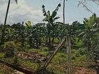 Residential Land at Bulathgamgoda Bemmulla