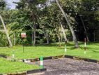 Residential Land Block for Sale in Katunayake