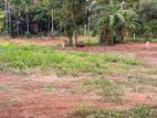 Residential Land Blocks for Sale in Rambukkana.