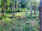 Residential land for in Sinharagama