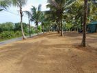 Residential Land For Sale - 10 Perches