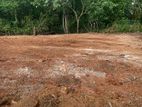 Residential Land for Sale – 43 Perch, Kurunegala