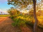 Residential Land for Sale – Anuradhapura