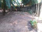 Residential Land for Sale at Bollatha, Ganemulla.