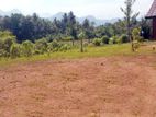 Residential Land for Sale at Kadangoda, Kuruwita.