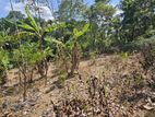 Residential Land for Sale Athurugiriya