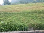 Residential Land for Sale Avissawella Road Padukka