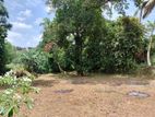 Residential Land for Sale Boralasgamuwa
