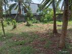 Residential Land for Sale Boralasgamuwa