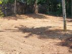 Residential Land for Sale Pannipitiya