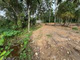 Residential Land for Sale Pokunuwita