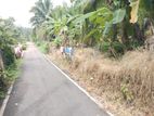 Residential Land for Sale Homagama
