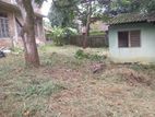 Residential Land for Sale in Ragama