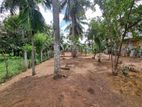 Residential Land for Sale-Makola