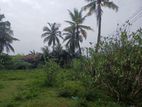 Residential Land for Sale
