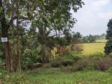 Residential Land for Sale Kalutara