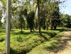 Residential Land for Sale palathathwala