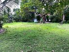 Land for Sale Hikkaduwa