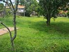 Residential Land for Sale Negombo