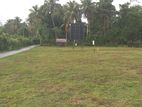 Residential Land for Sale Horana