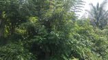 Residential Land for Sale – Ihala Biyanwila, Kadawatha