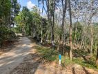 Residential land for sale in Alawwa Nelundeniya Road