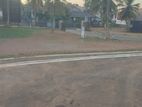 Residential Land for Sale in Arangala Junction