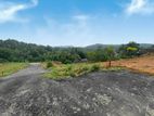 Residential Land For Sale In Avissavella