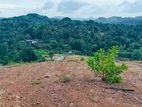 Residential Land for Sale in Avissawella
