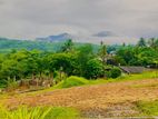 Residential Land for Sale in Avissawella Town