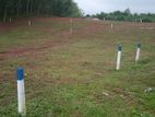 Residential Land for Sale in Bandaragama