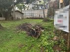 Residential Land for Sale in Battaramulla