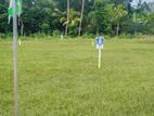 Residential Land For Sale In Beliatta