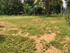 Residential Land for Sale in Beruketiya