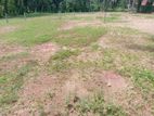 Residential Land for Sale in Beruketiya