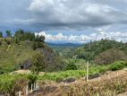 Residential Land for Sale in Boragas, Nuwara Eliya