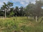 Residential Land for Sale in Bulankulama