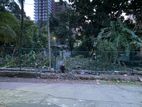 Residential Land for Sale in Colombo 05 (C7-5933)