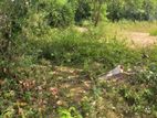 Residential Land for Sale in Colombo 05 (C7-5933)