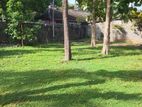 Residential Land for Sale in Colombo 06 (C7-9893)