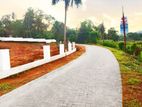 Residential Land For sale in Dambadeniya L08