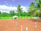 Residential Land for Sale in Dambadeniya P2
